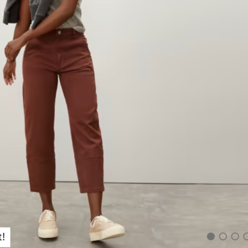 EUC Everlane Utility Barrel Pant